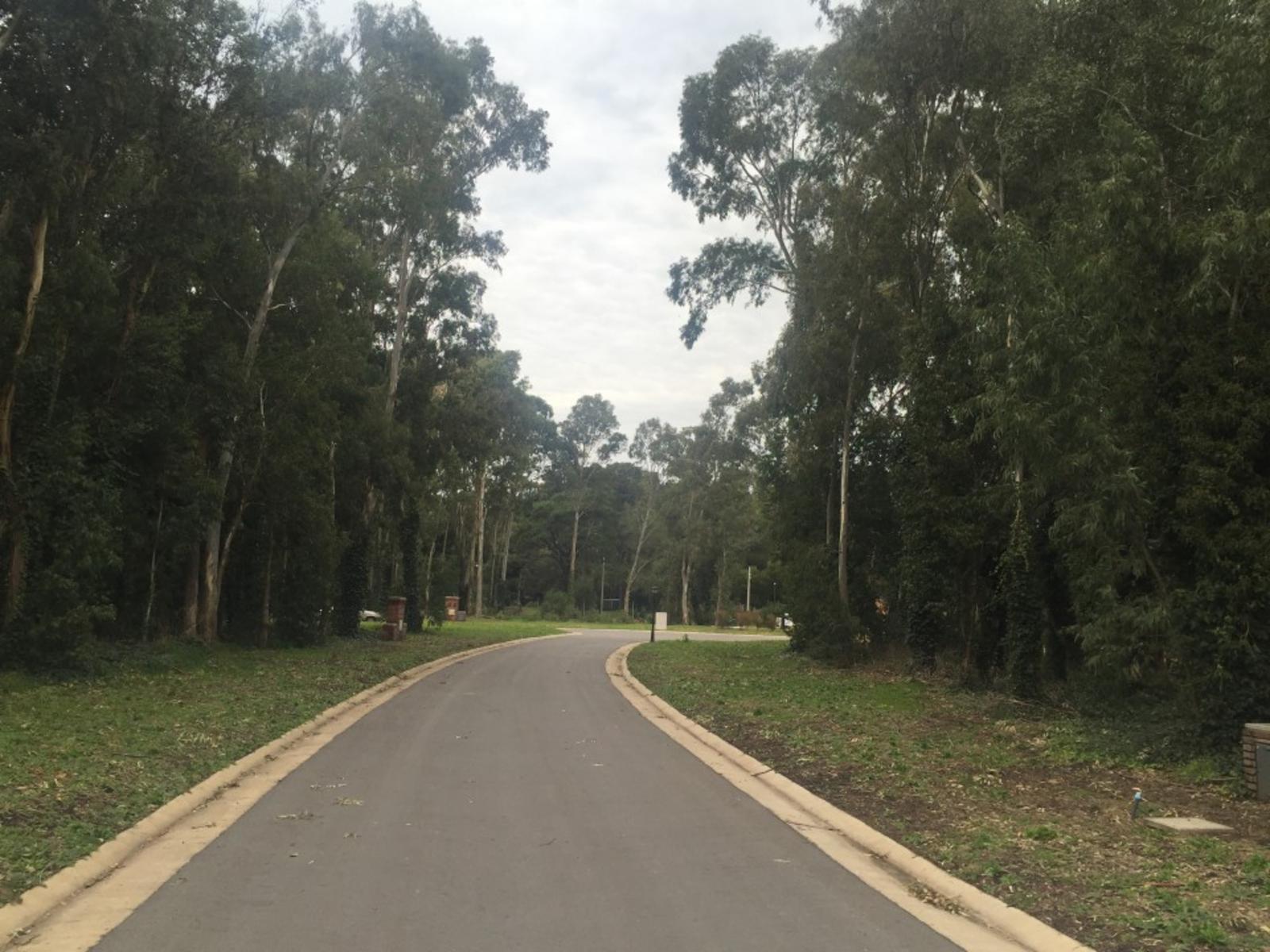 Las Prunas. Lotes exclusivos en este magnífico barrio cerrado. — foto 6