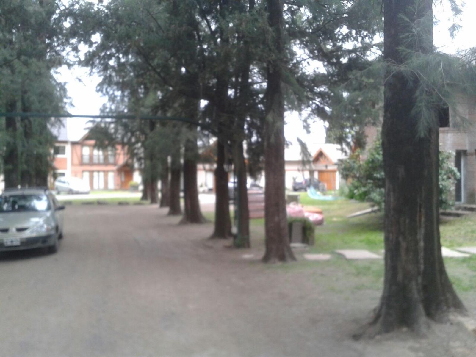 ITUZAINGO (PBA). AMPLIO LOTE EN BARRIO CERRADO CON EXCELENTE FORESTACION. — foto 3