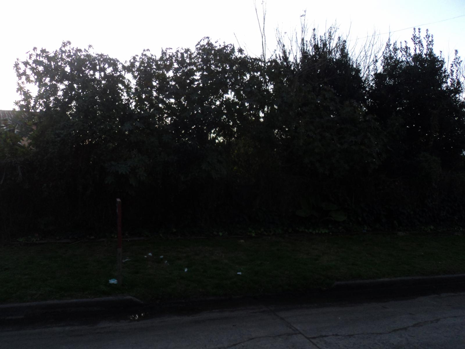 ITUZAINGO NORTE, 2 LOTES DE TERRENO CONTIGUOS. CERCA AVENIDA RATTI. — foto 2