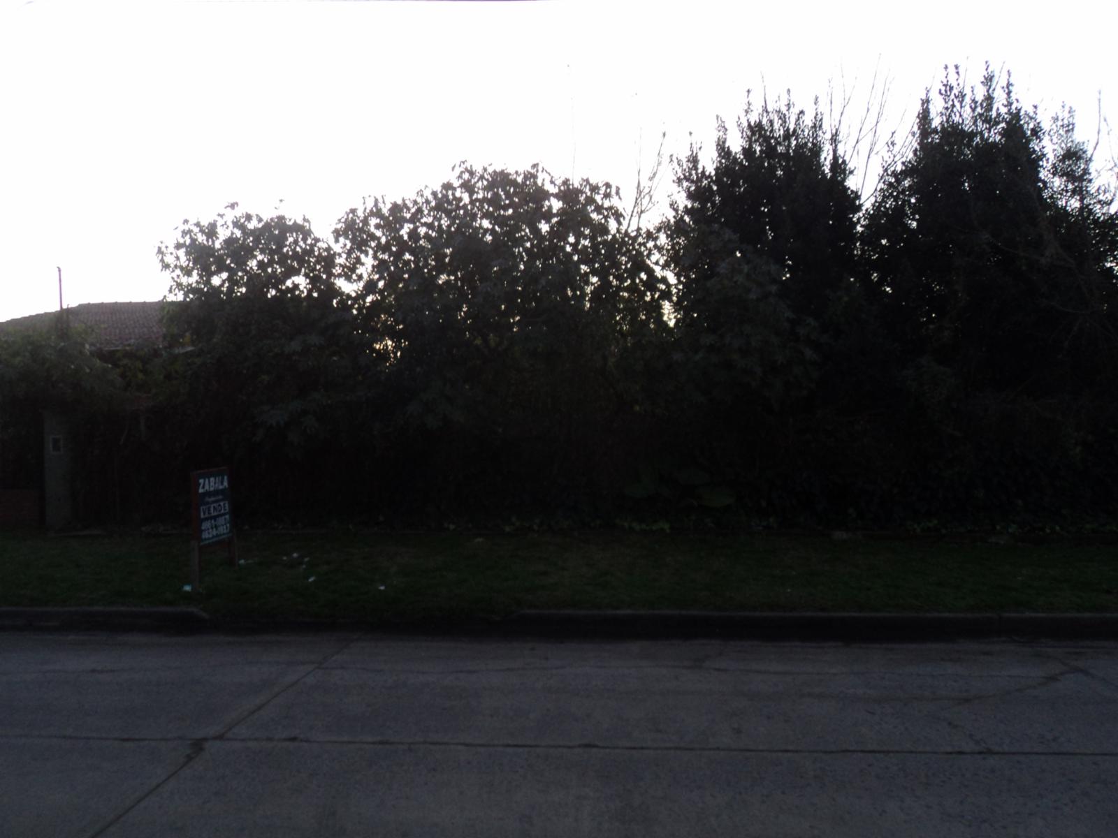ITUZAINGO NORTE, 2 LOTES DE TERRENO CONTIGUOS. CERCA AVENIDA RATTI. — foto 4