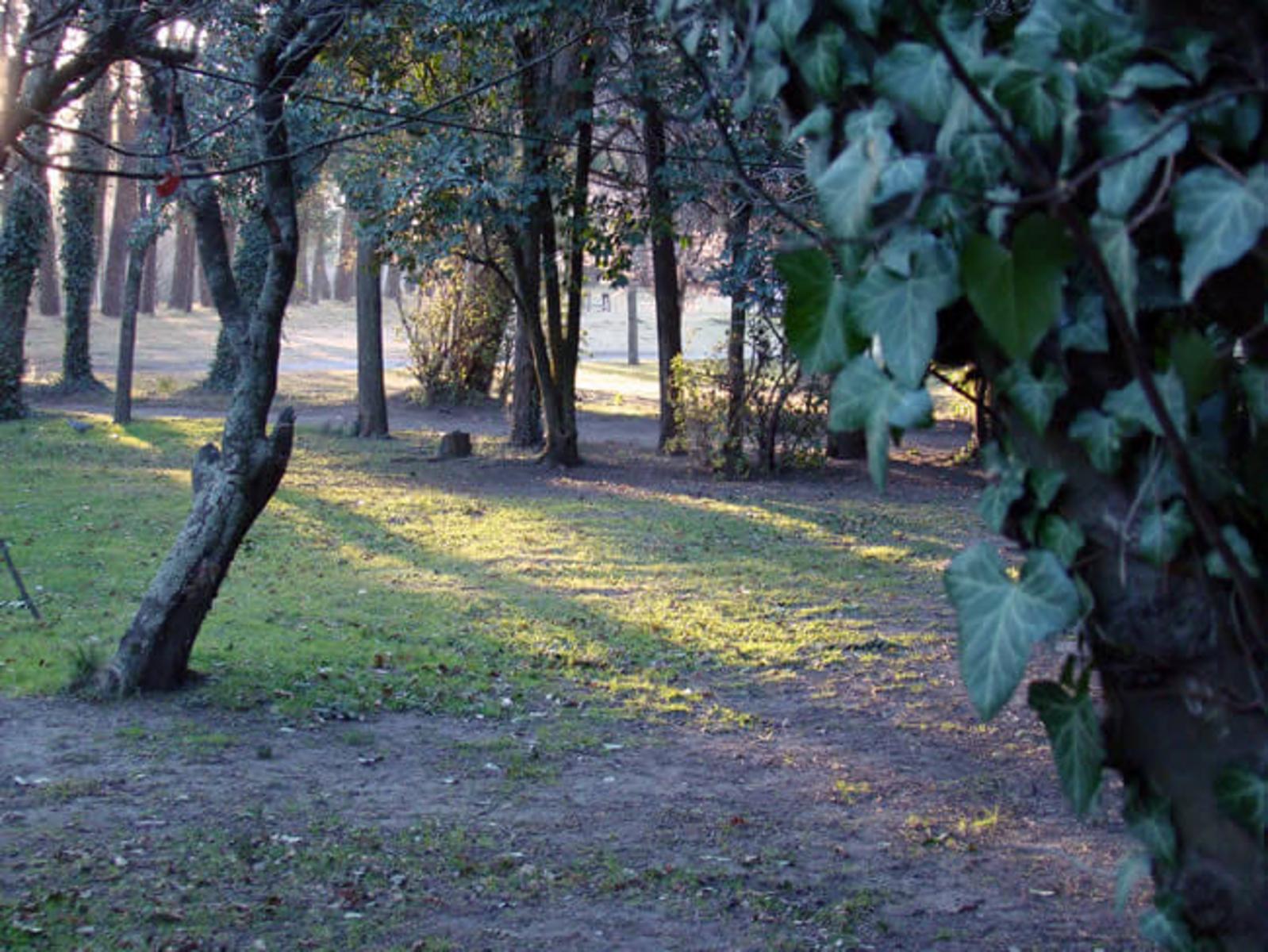 EN VENTA COMPLEJO DE CAMPING Y CABAÑAS - 8