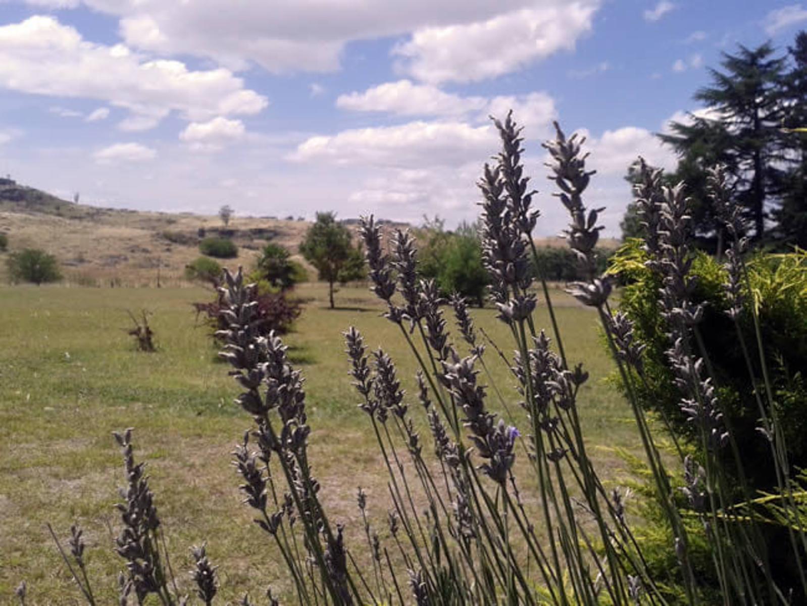 EN VENTA COMPLEJO DE CAMPING Y CABAÑAS - 10