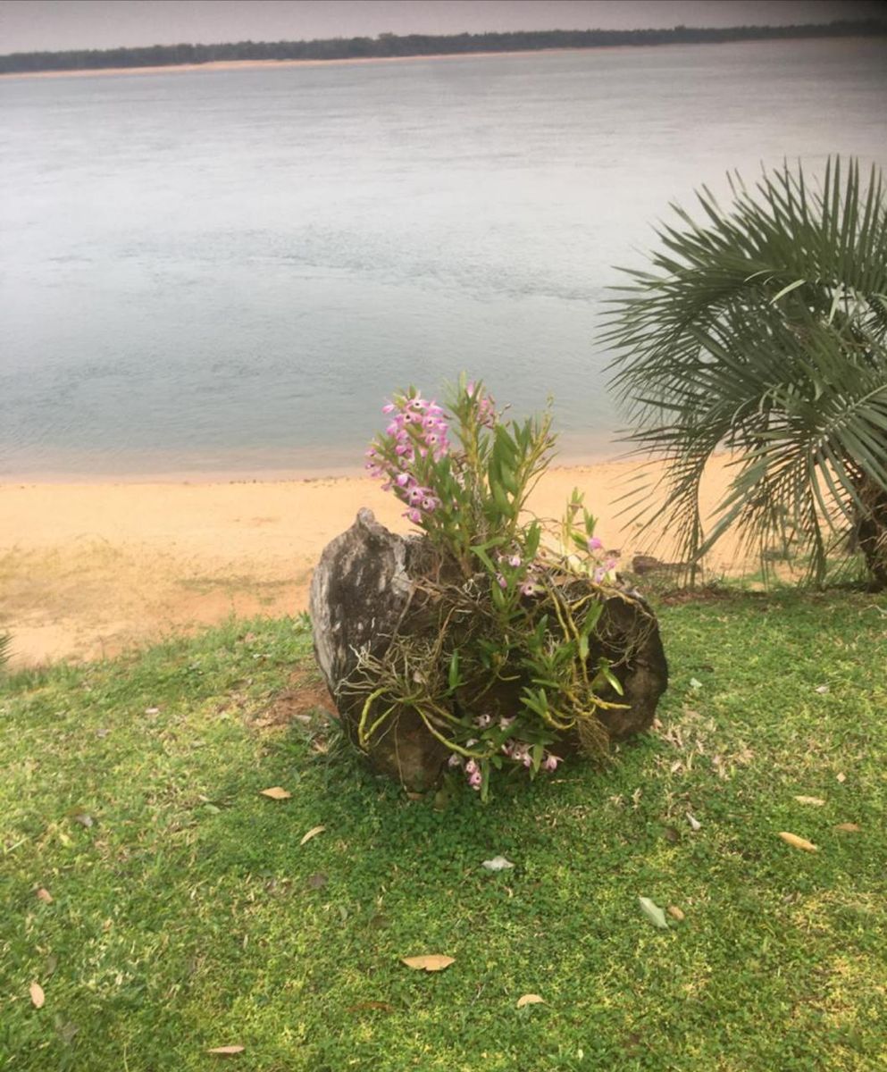 VENDO HERMOSA CASA ESTILO CAMPO EN EXCLUSIVO COUNTRY EN ITUZAINGO CORRIENTES — foto 15