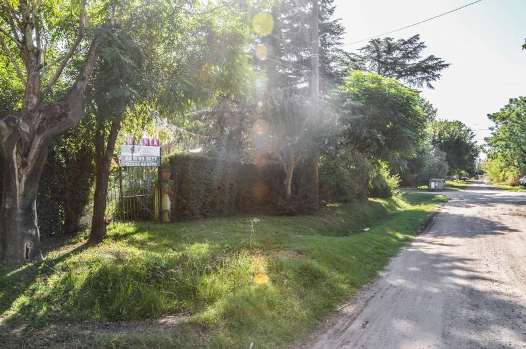 Calle 4 e 27 y 29 200 – General Belgrano – Buenos Aires - 2