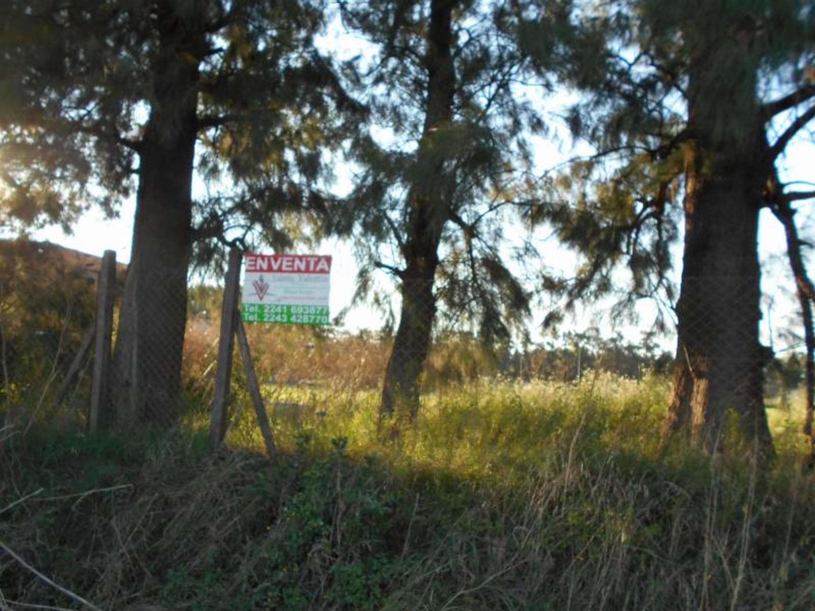 Lote Calle 135 100 - 2