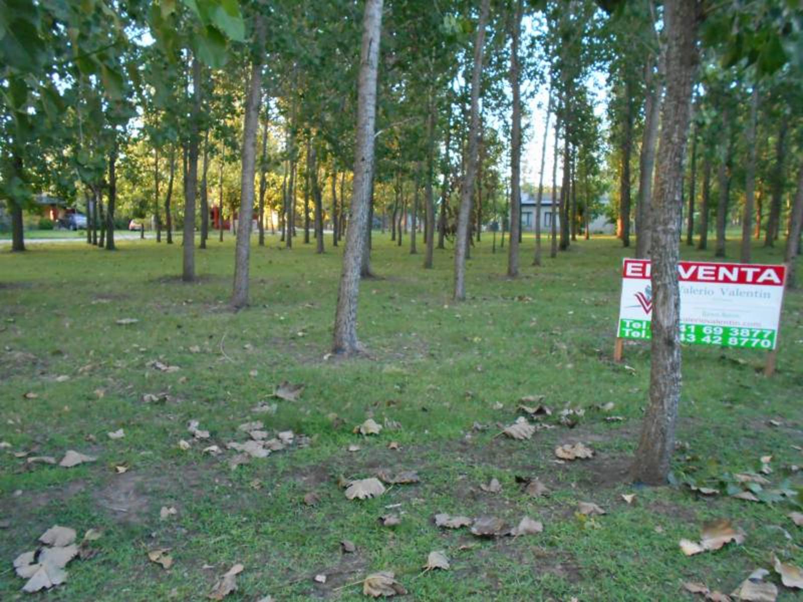 Lote en Barrio Leufú kiñe 100 – General Belgrano – Buenos Aires - 3