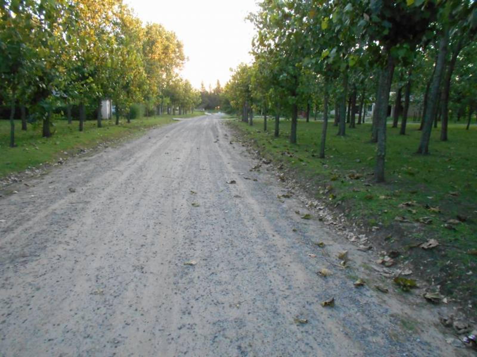 Lote en Barrio Leufú kiñe 100 – General Belgrano – Buenos Aires - 4