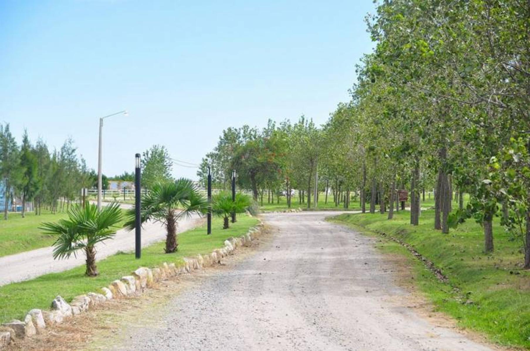 Lote en Barrio Leufú kiñe 100 – General Belgrano – Buenos Aires - 7