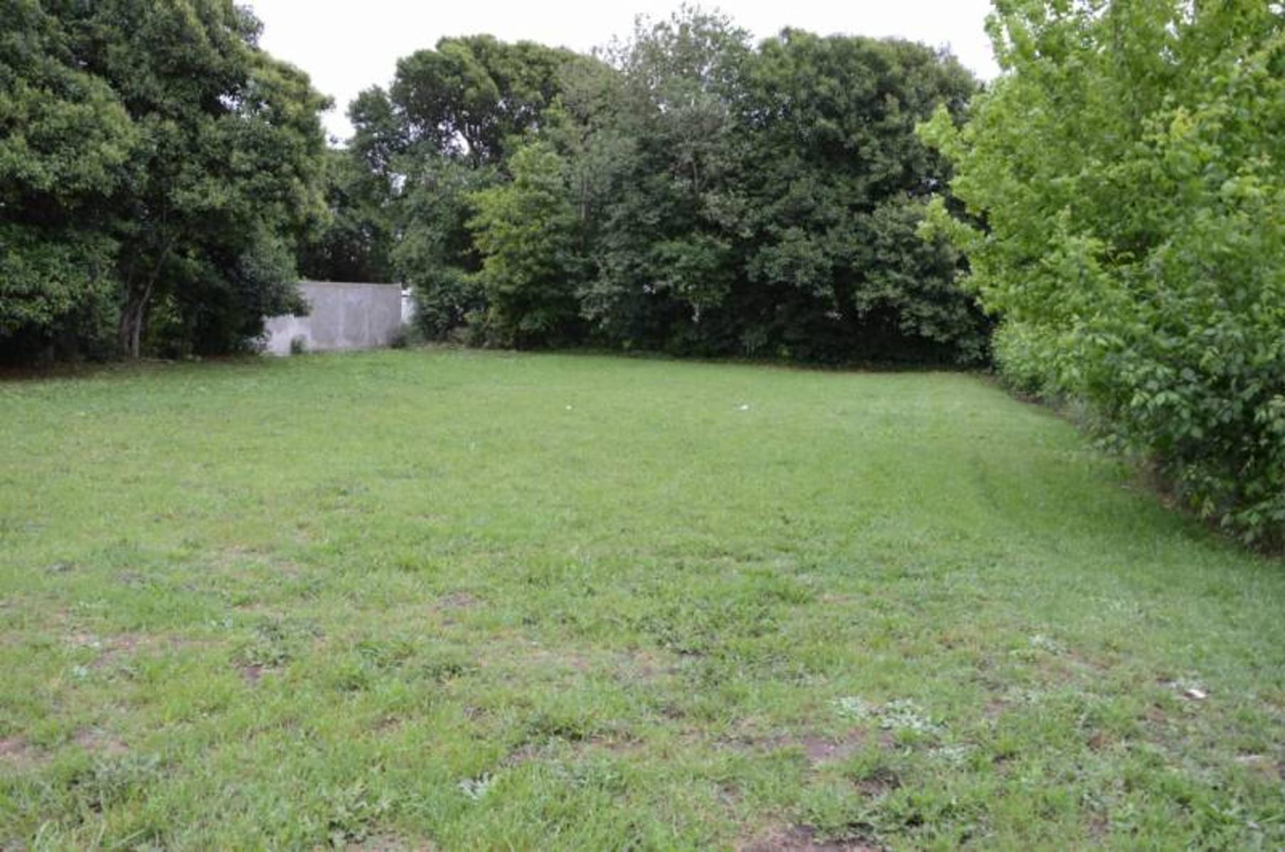 Lote calle 59 800 – General Belgrano - 2