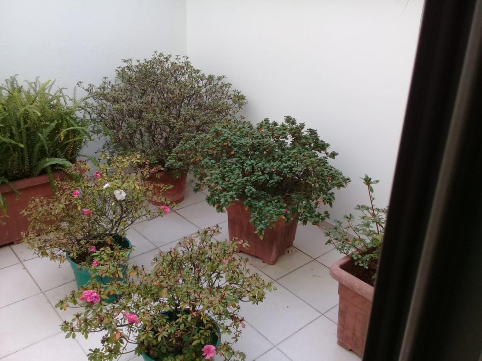 Depto. tipo PH en duplex 2 y medio ambientes — foto 10