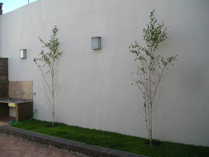 Departamento en Venta en Morón, Morón, Buenos Aires — foto 13