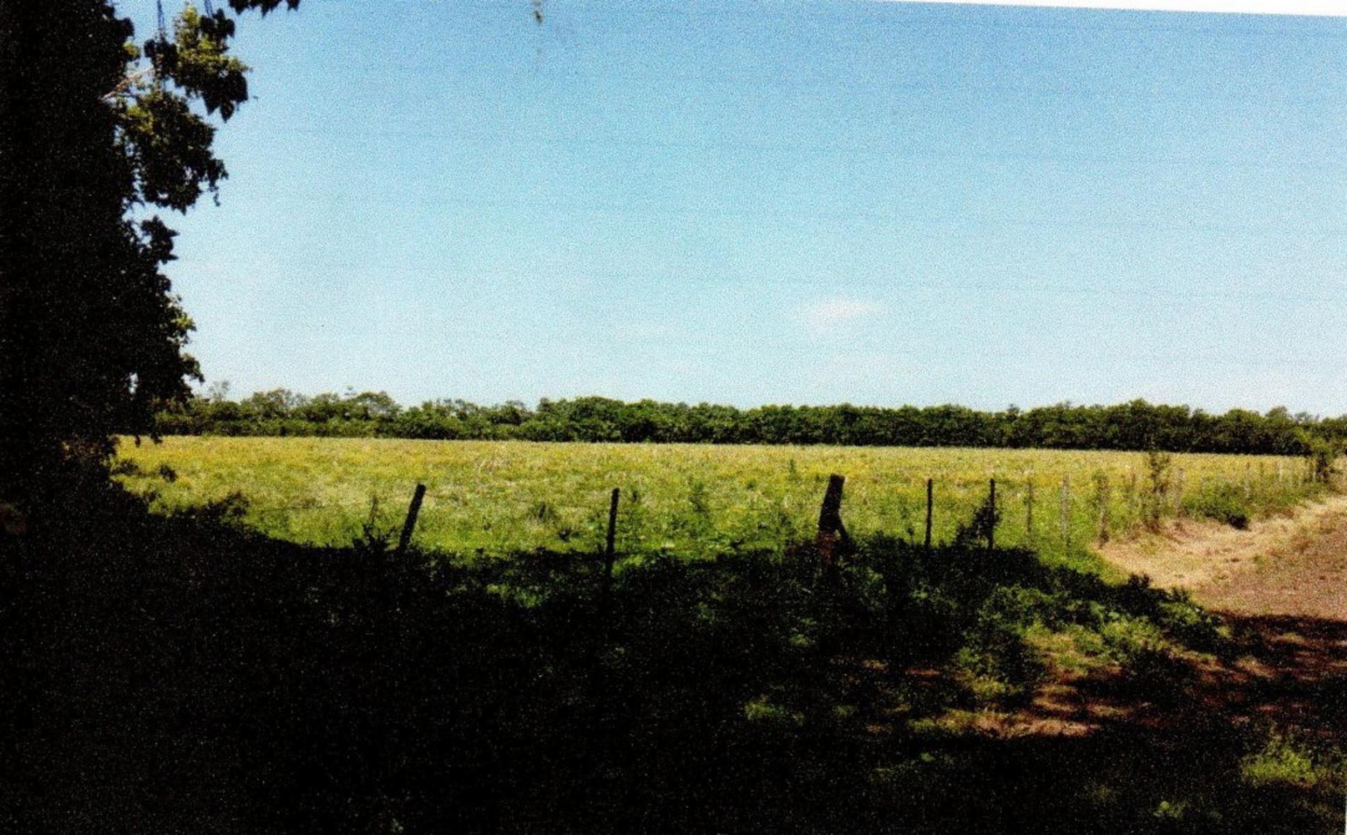 campo dolores mas de 140 hectareas - 1
