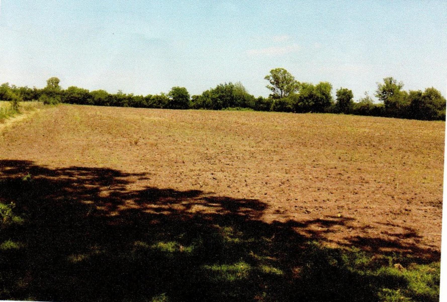 campo dolores mas de 140 hectareas - 2