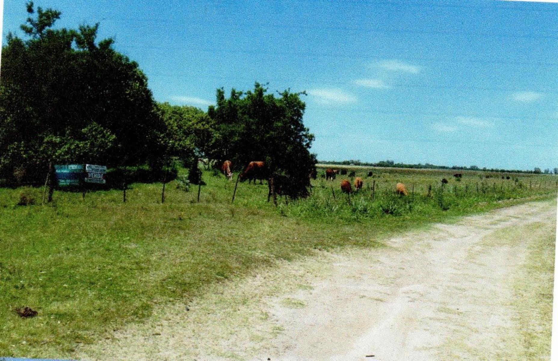campo dolores mas de 140 hectareas - 3