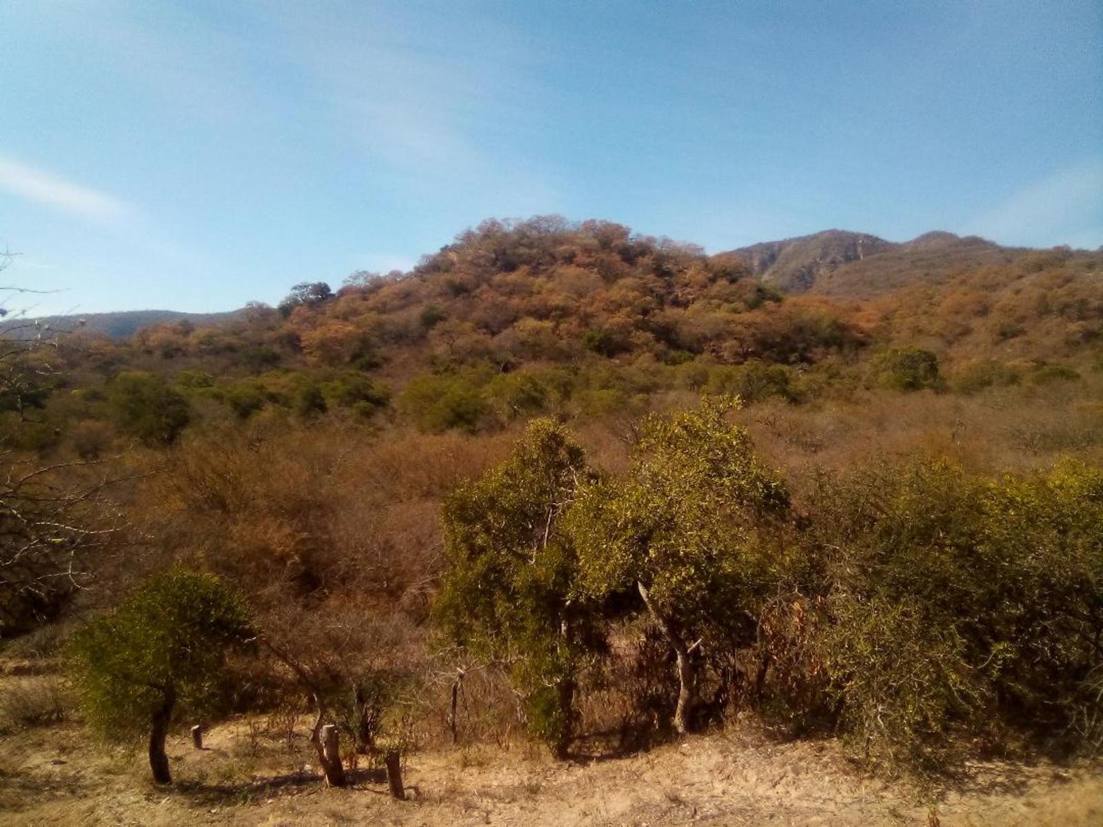 VENTA DE 1,2 HAS. EN DIQUE CABRA CORRAL. - 5