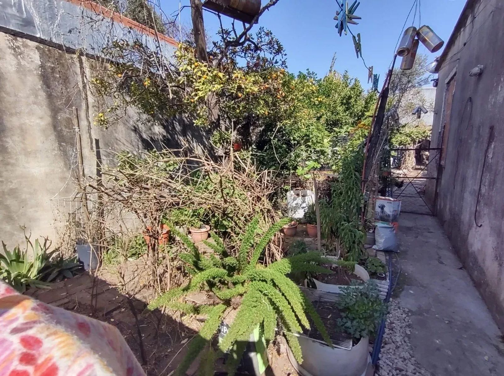VENTA - Casa - 3 Amb - Angel Pini Al 4600 - Caseros - 23