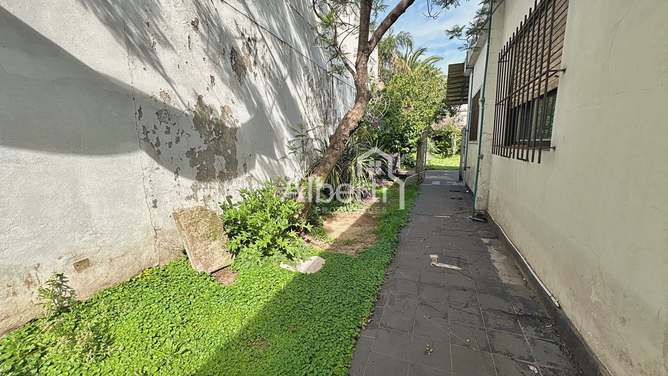 VENTA CASA 4 AMBIENTES EN ITUZAINGÓ SOBRE LOTE DE 10 X 34 MTS. — foto 15