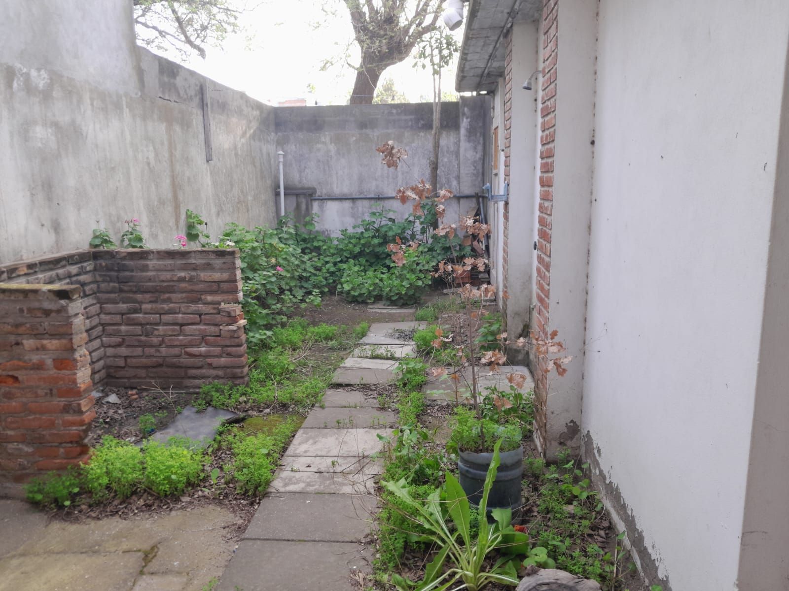 &quotVENTA&quot CASA AMPLIA EN EXCELENTE UBICACIÓN — foto 5