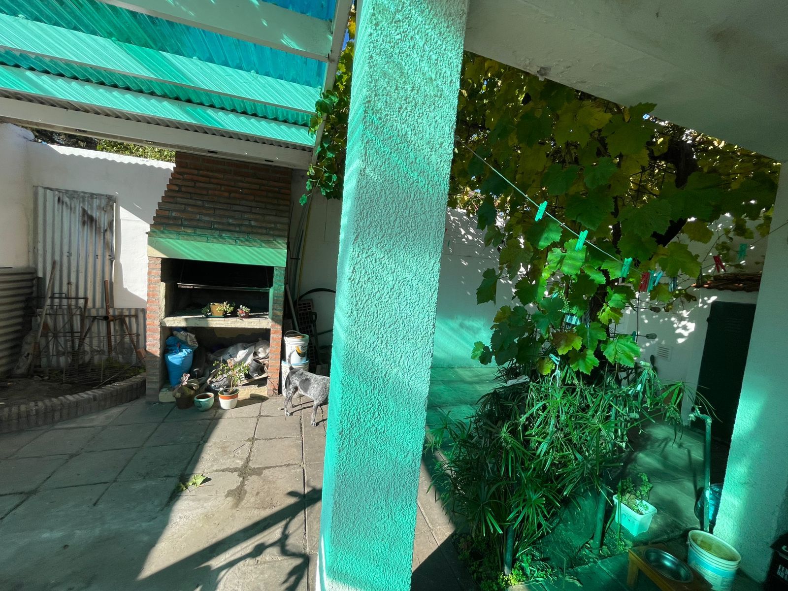 "VENTA" CASA FUNCIONAL Y CON MUY BUENOS ESPACIOS - 3