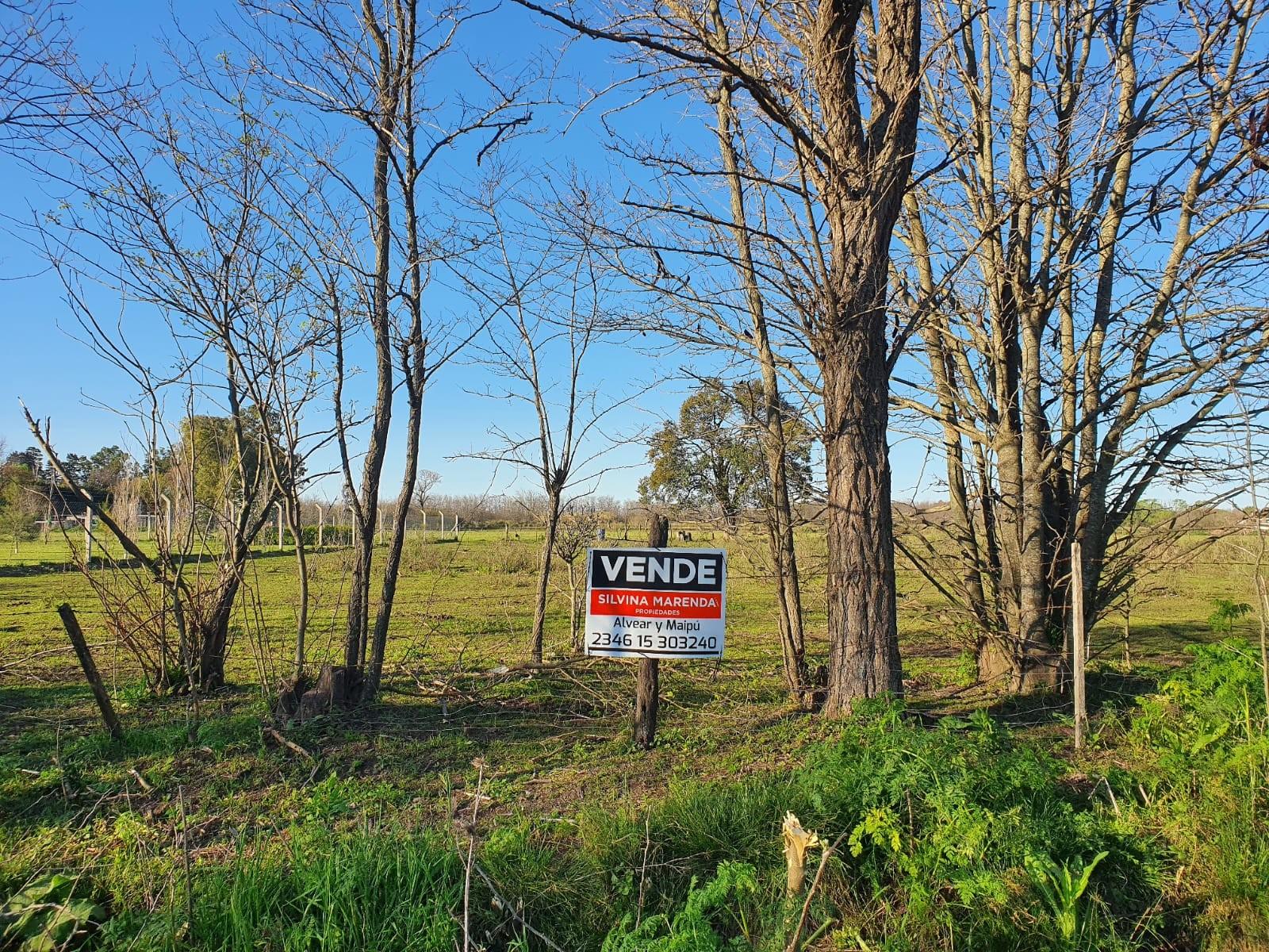 Lote en la zona mas buscada de Chivilcoy.