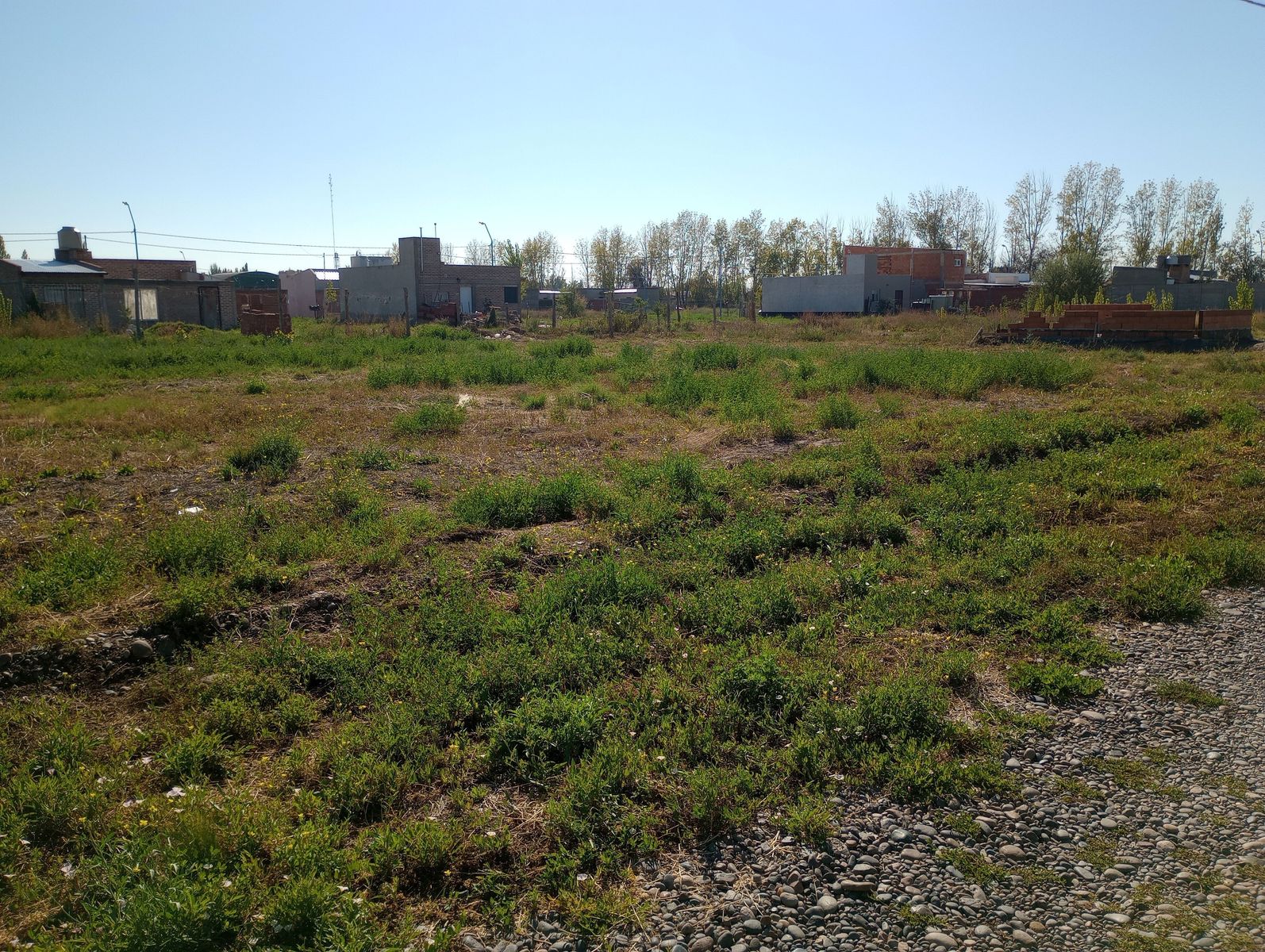 Indexa Vende Terreno en Don Mariano — foto 4