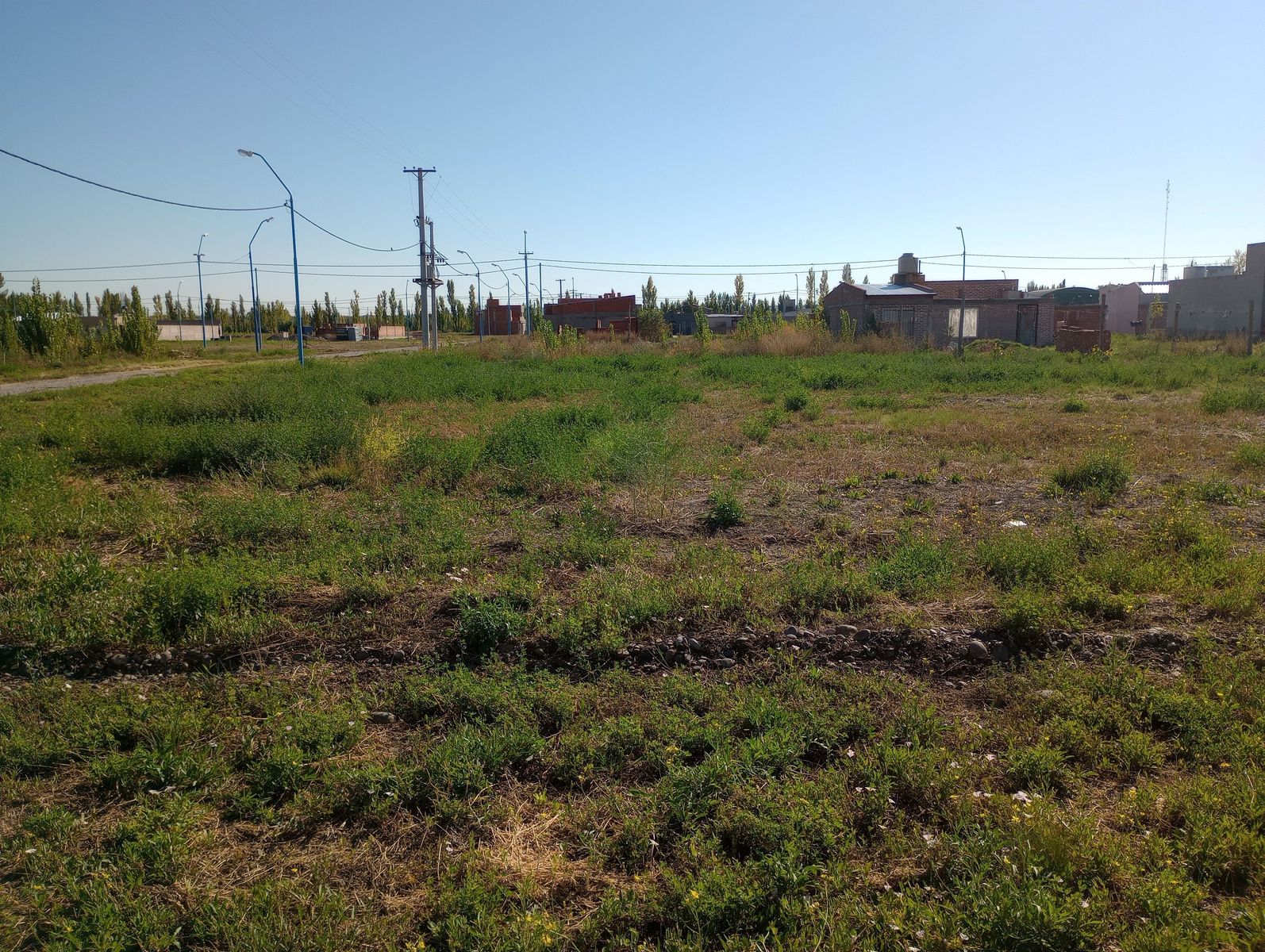 Indexa Vende Terreno en Don Mariano — foto 5