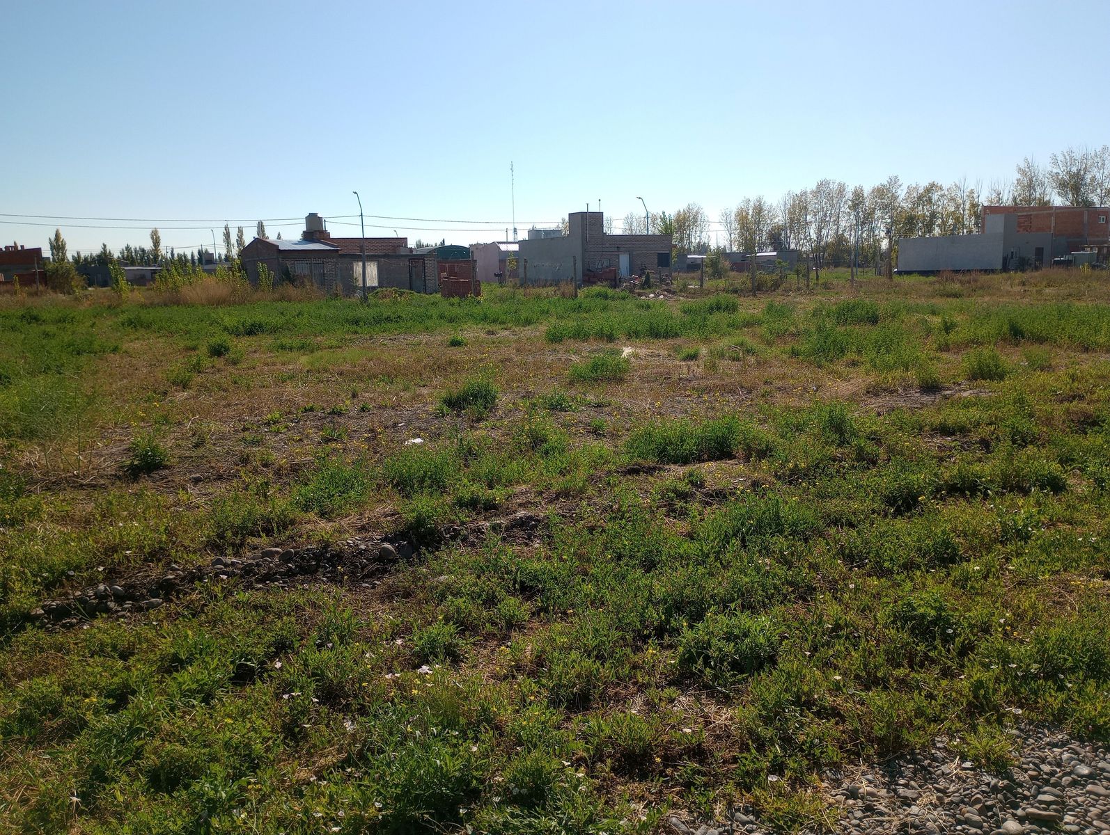 Indexa Vende Terreno en Don Mariano — foto 7