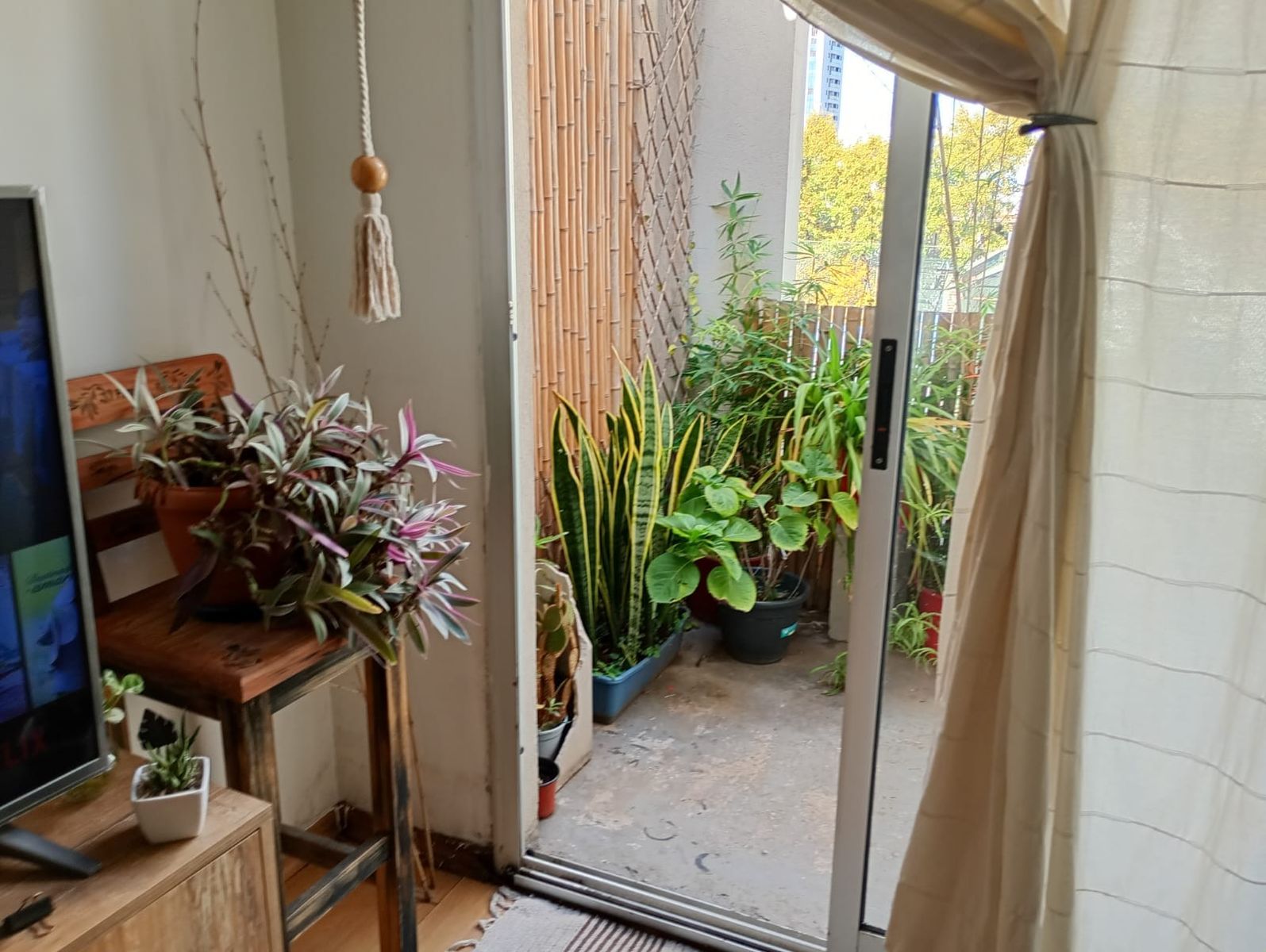DEPARTAMENTO 3 AMBIENTES EN ZONA ABASTO — foto 4