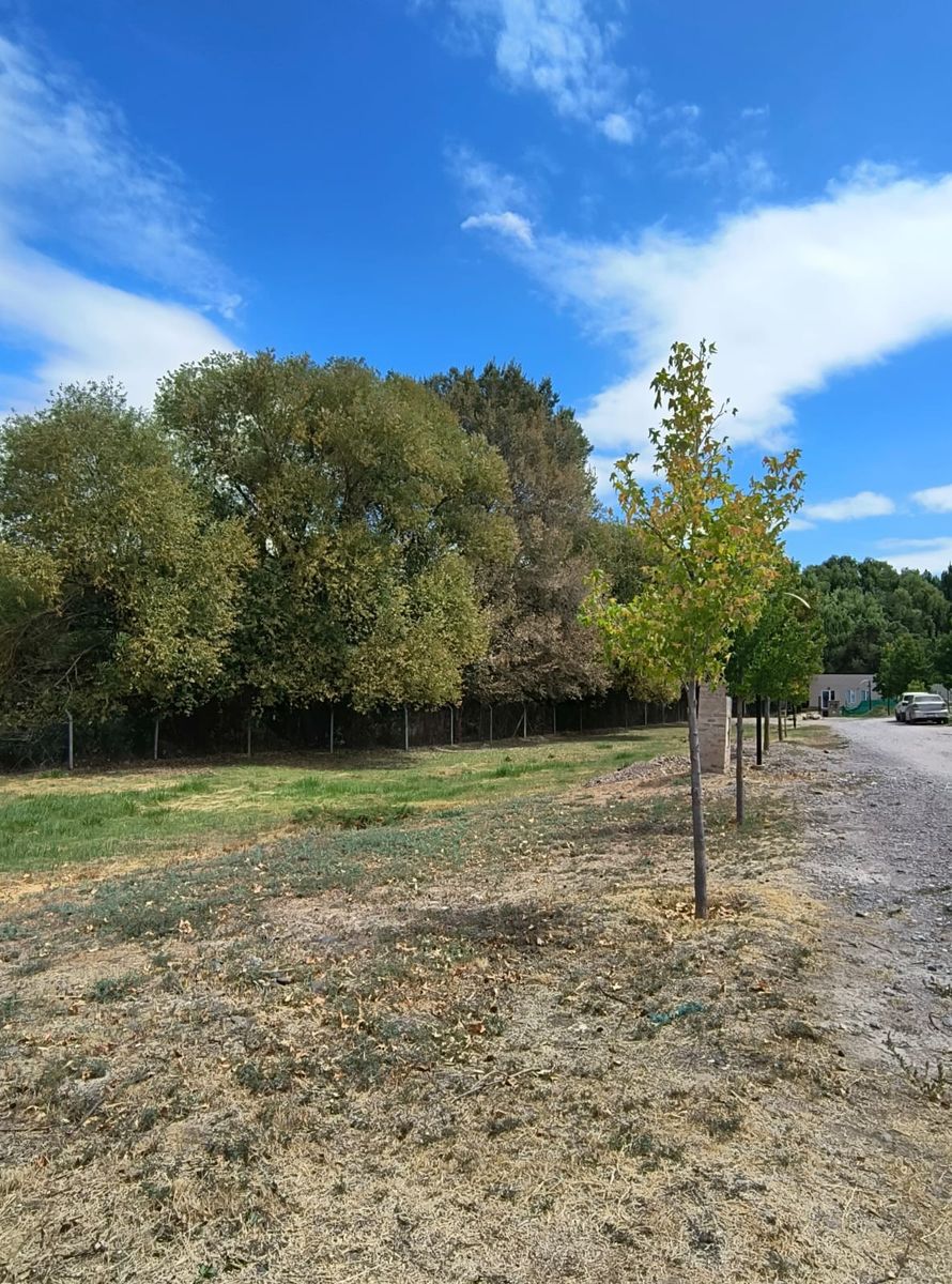 TERRENO EN VENTA EN BARRIO PRIVADO LA HORQUILLA — foto 4
