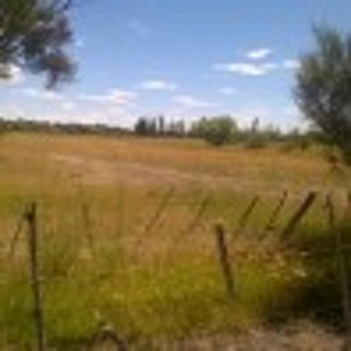 Chacra con 12 Has. Trelew (Chubut). - 4