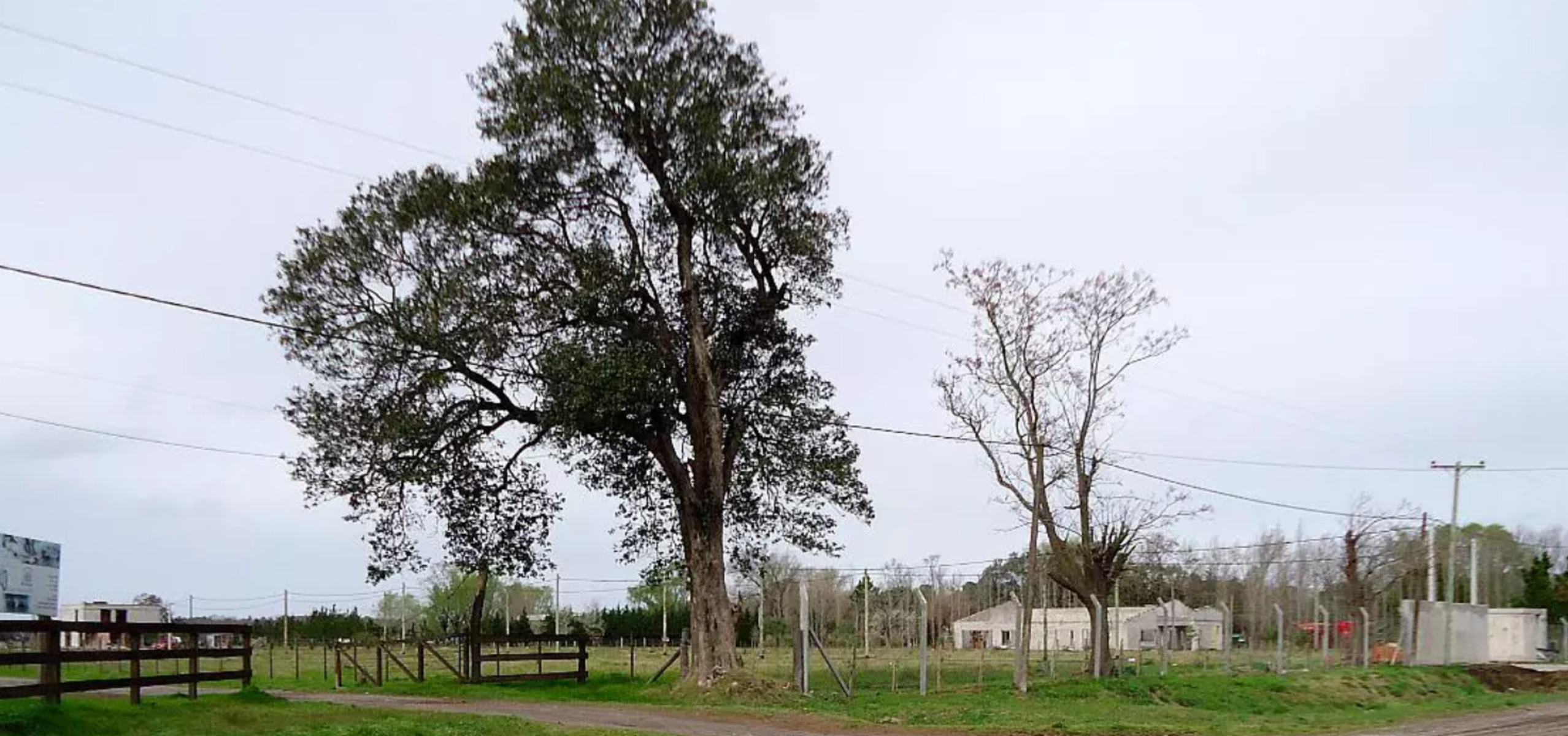 Terrenos en Barrio Cerrado en Chivilcoy. — foto 2