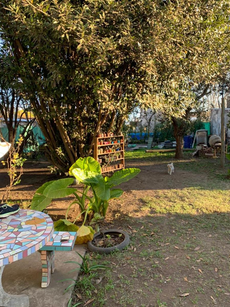Excelente propiedad a la venta o permuta por casa en pueblo cercano a Junín. — foto 10