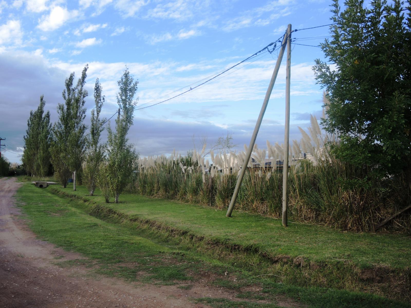 SE VENDE CASA EN B° LAS PALMAS-LOBOS — foto 8