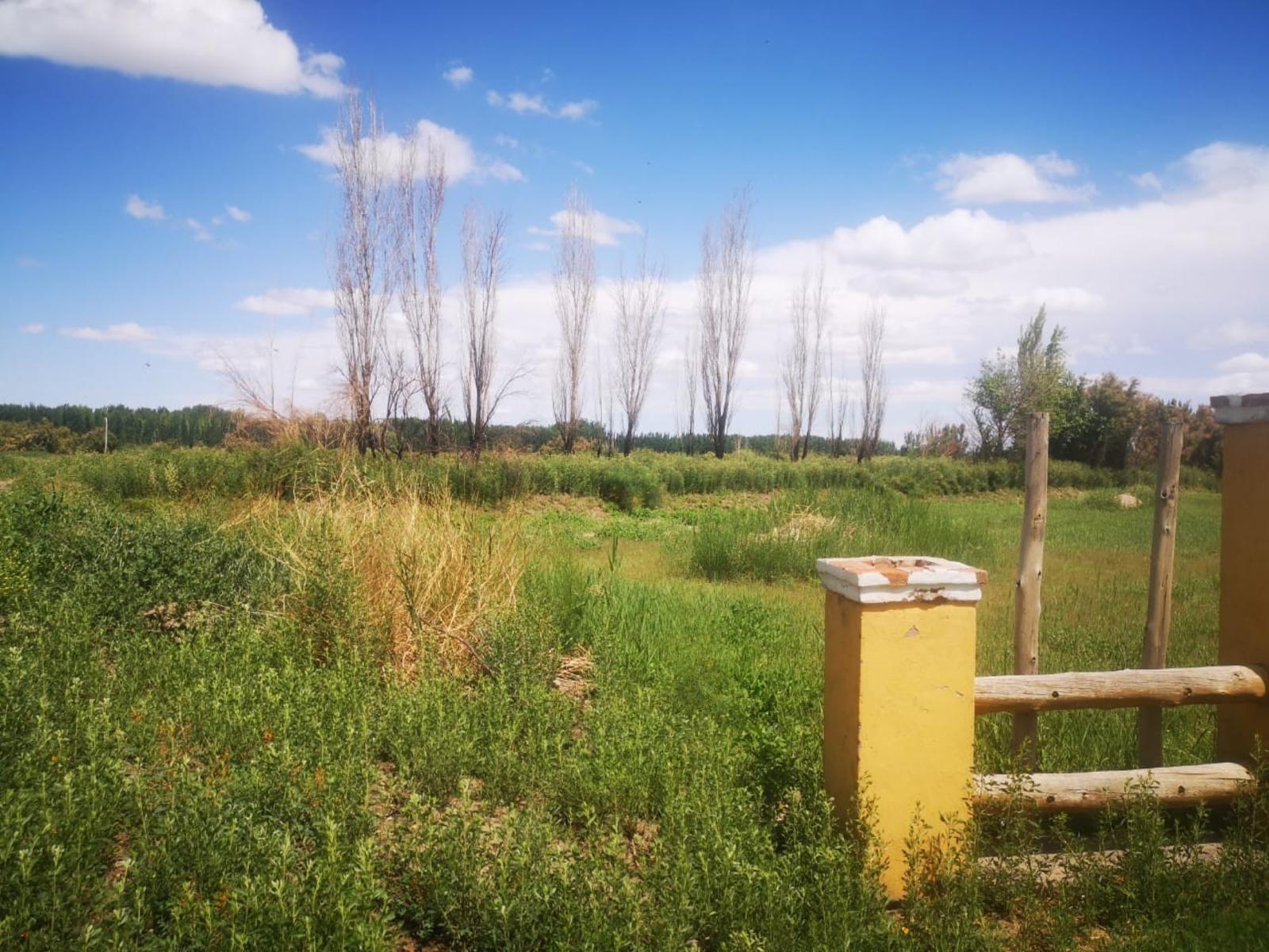 FLORES LUVELLO VENDE TERRENO 2.500 m2 EN “COMPLEJO ETERNIA” EN CALLEJON LILLO – LOS CORRALITOS, GUAYMALLEN. — foto 4