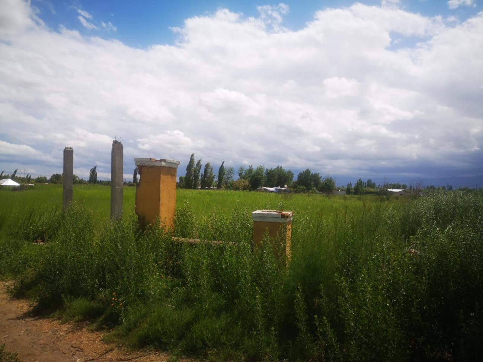 FLORES LUVELLO VENDE TERRENO 2.500 m2 EN “COMPLEJO ETERNIA” EN CALLEJON LILLO – LOS CORRALITOS, GUAYMALLEN. — foto 6