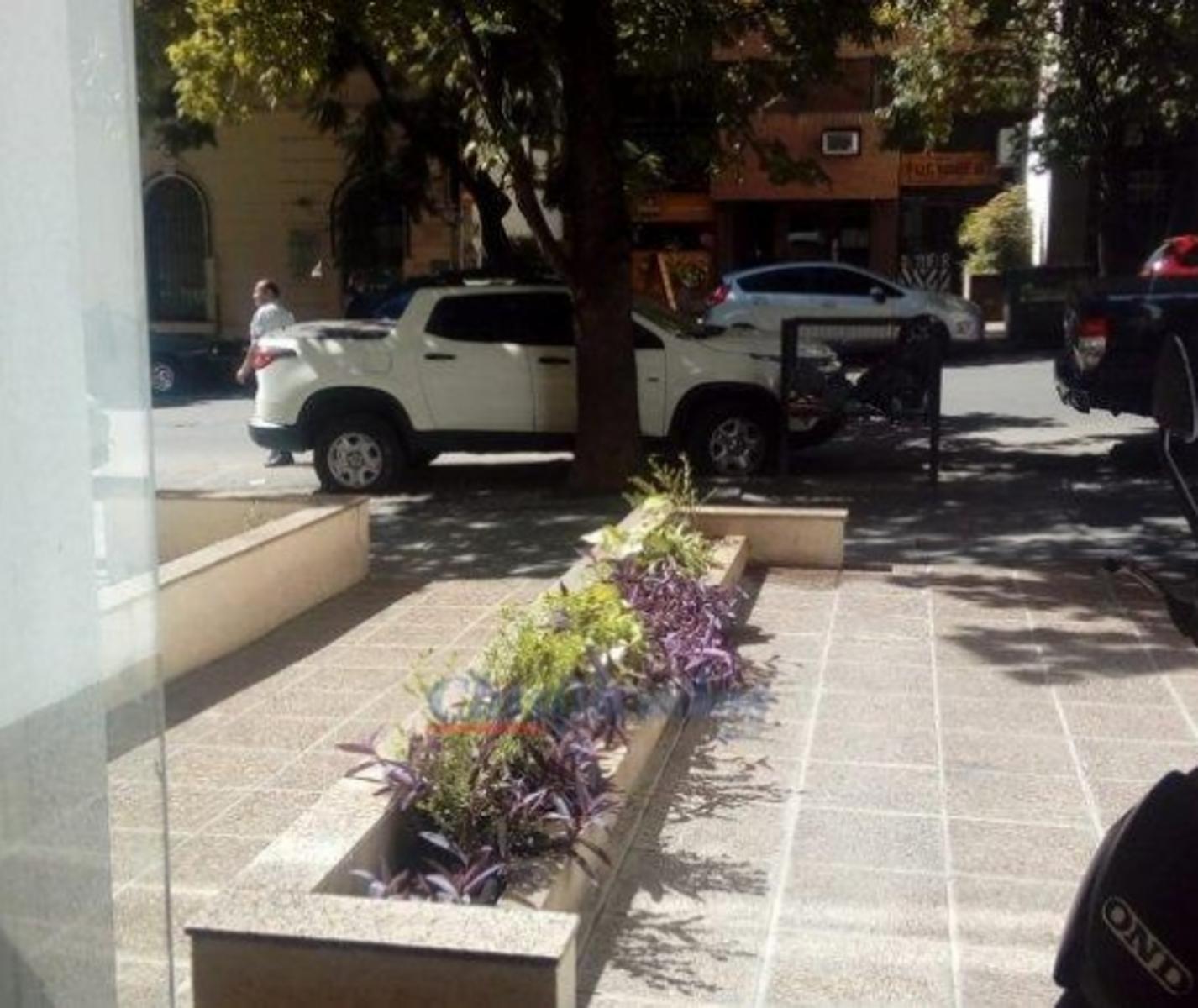 Alquilo local comercial en nueva cordoba - 2