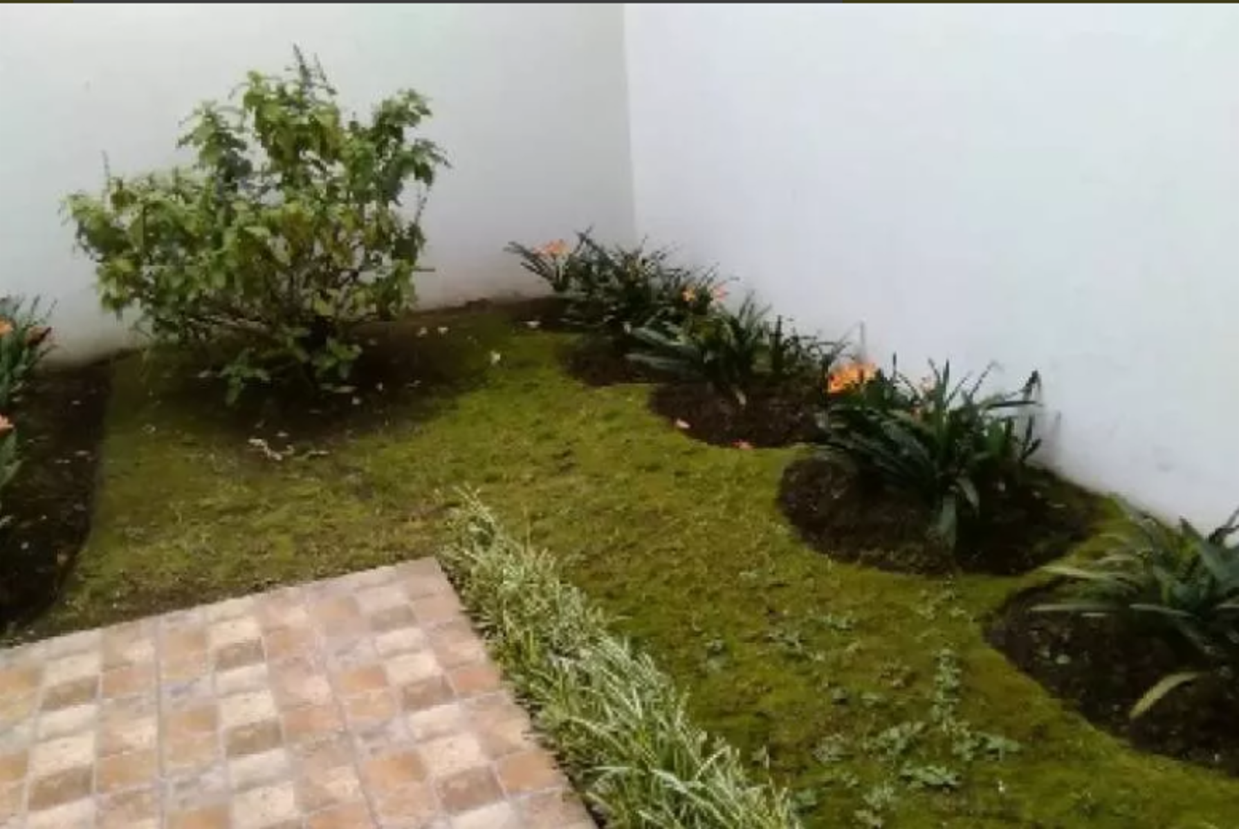 Departamento 2 amb con patio