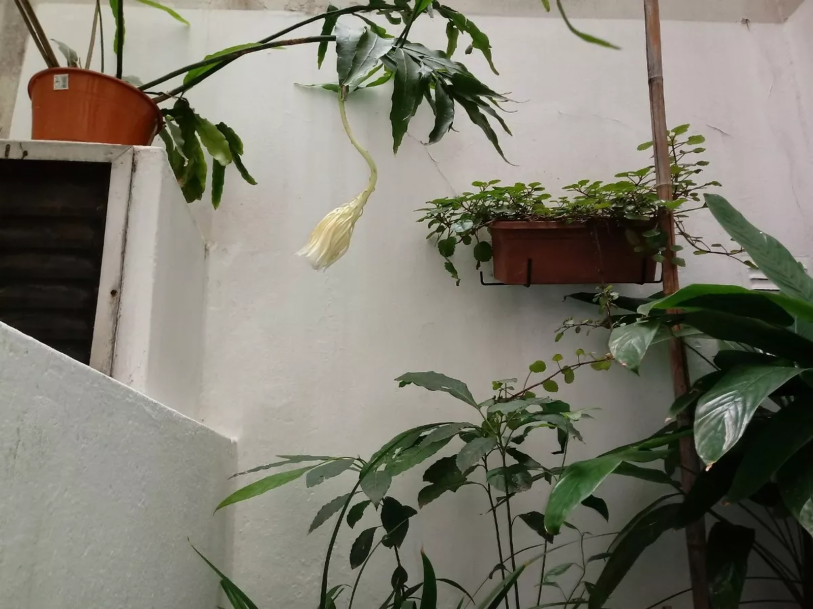 2 AMBIENTES EN MEDRANO 600 (ALMAGRO) — foto 3