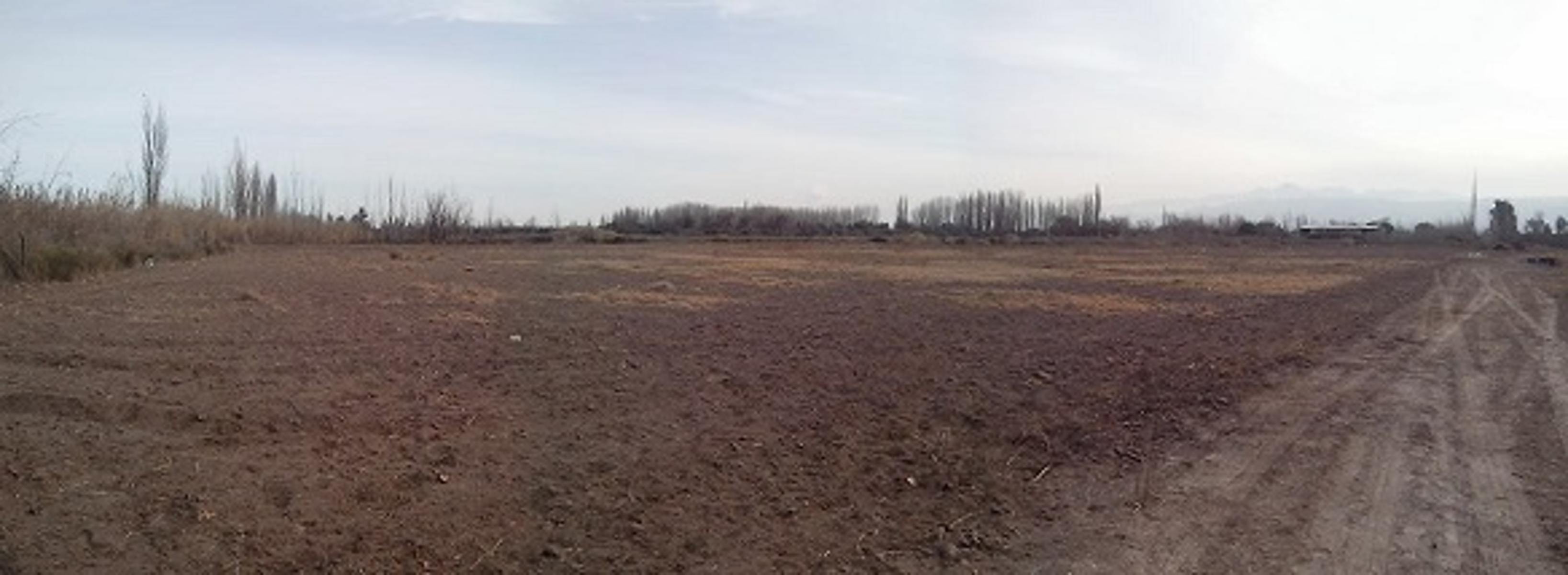 EXCELENTE FINCA EN LA PRIMAVERA - GUAYMALLEN - MENDOZA - 4