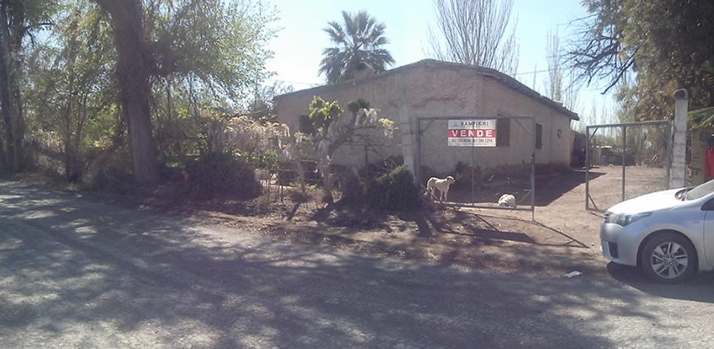 EXCELENTE FINCA EN LA PRIMAVERA - GUAYMALLEN - MENDOZA - 5