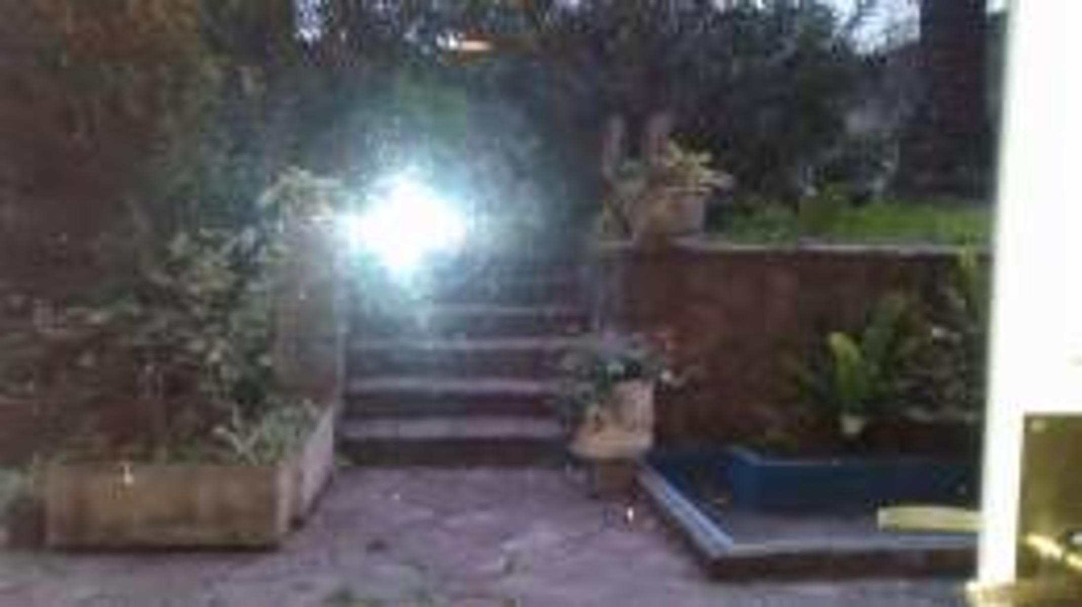 CATEGORIA DEPARTAMENTO DE 3 AMB. CON BALCON A LA CALLE — foto 5