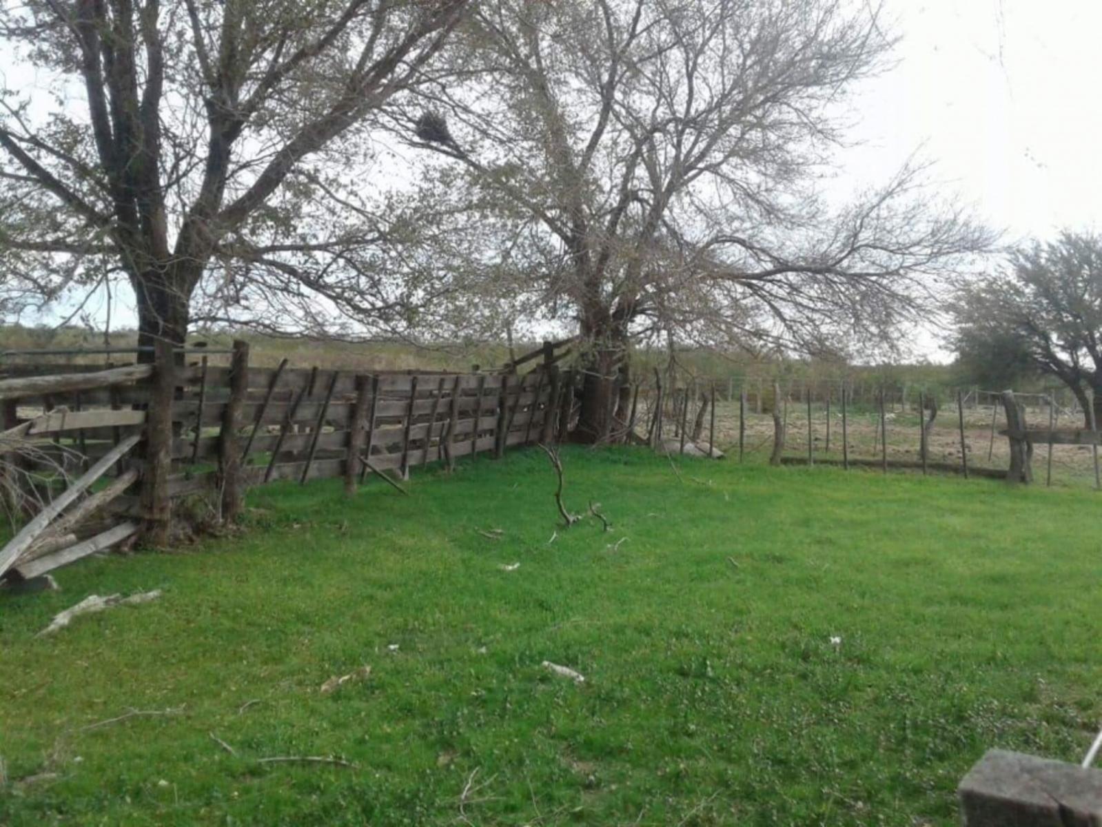 5000 ha. campo ganadero en La Pampa, Limay, Mahuida. - 2