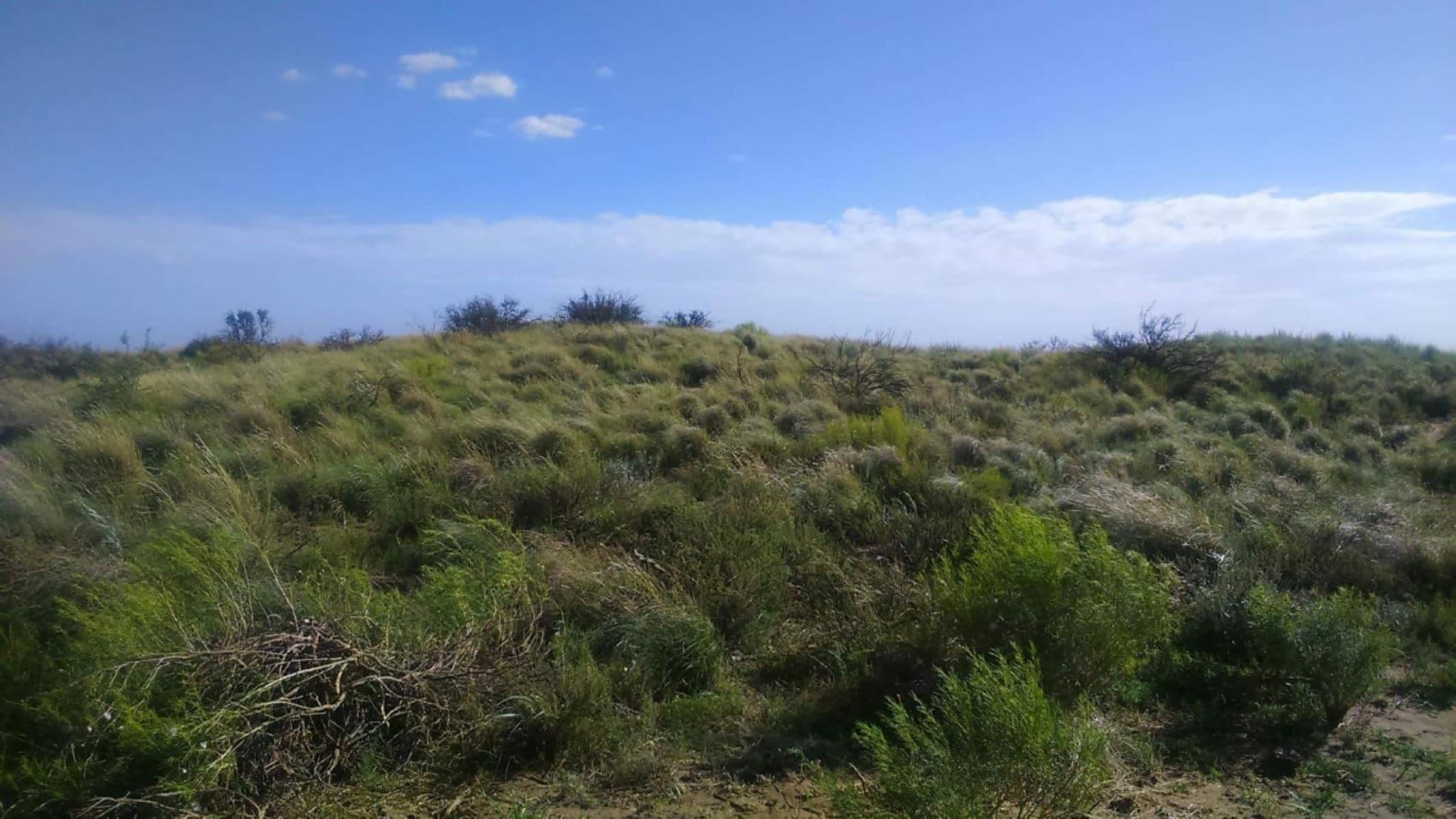 5000 ha. campo ganadero en La Pampa, Limay, Mahuida. - 4