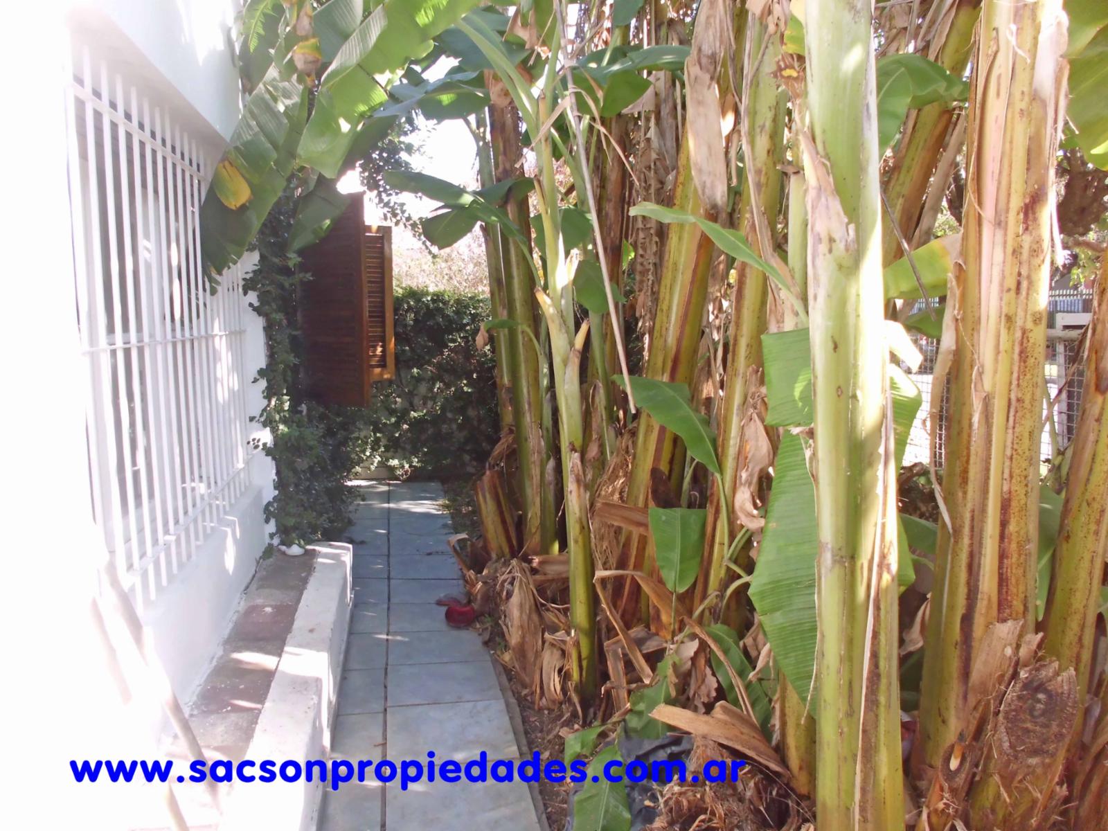V472 Villa Luzuriaga Venta Casa 4 amb. con amplio fondo — foto 2