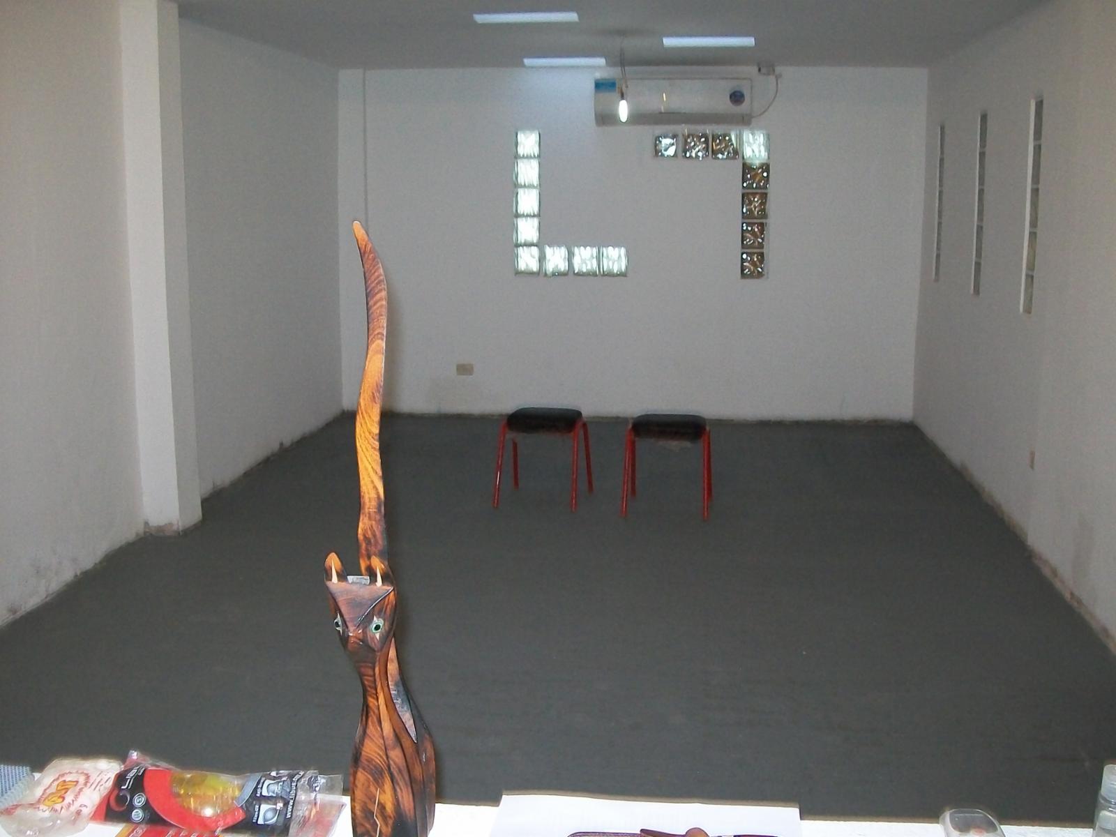 CASA EN TERRENO 8,66 X 30 GGE 2 AUTOS - CON PARQUE AL FONDO — foto 3