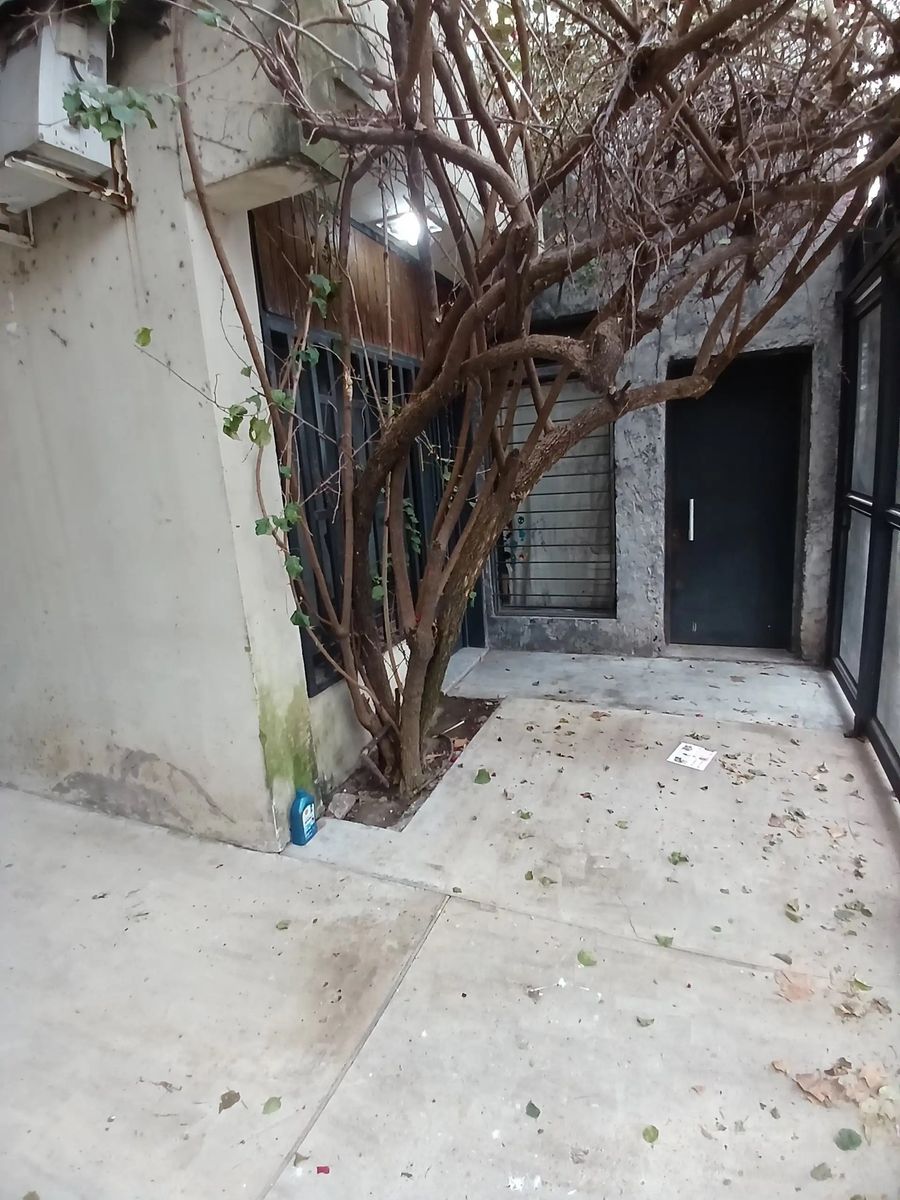 CASA S/ LOTE 8,66 X 50 CON FONDO PISCINA Y COCHERA 4 AUTOS — foto 15