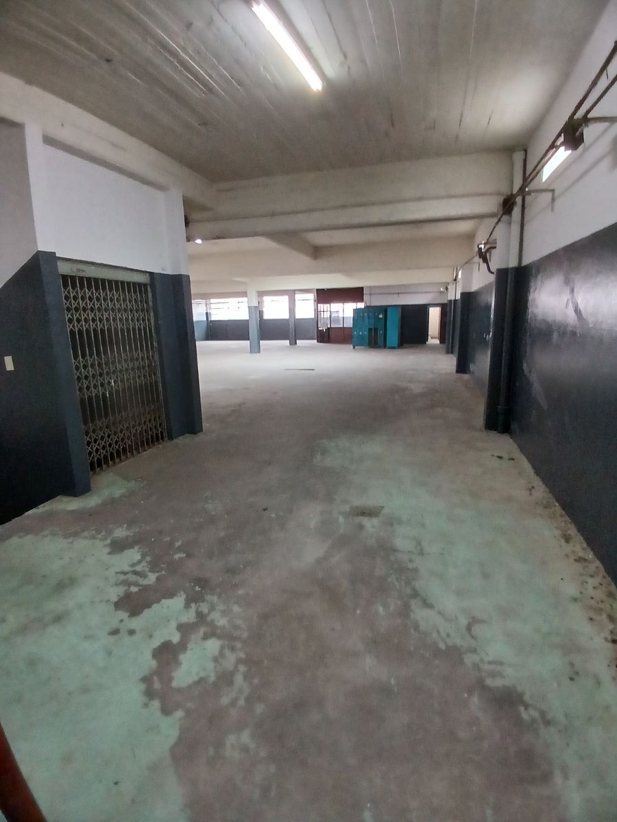 GALPÓN (ENTR C/ PORTON AUT 4,3 M. ANCHO X 5 M. ALTO) ESPECTACULAR DE 1200 M2 (17,32 X 40) C/ ENTRADA P/CAMIÓN FZA MOTRIZ APTO TODO DESTINO - 47