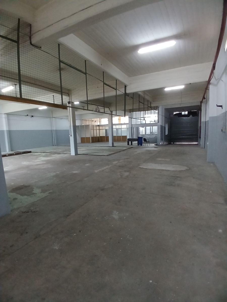 GALPÓN (ENTR C/ PORTON AUT 4,3 M. ANCHO X 5 M. ALTO) ESPECTACULAR DE 1200 M2 (17,32 X 40) C/ ENTRADA P/CAMIÓN FZA MOTRIZ APTO TODO DESTINO - 60