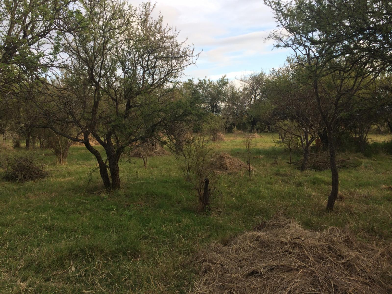Lote de terreno / villa de las rosas — foto 2