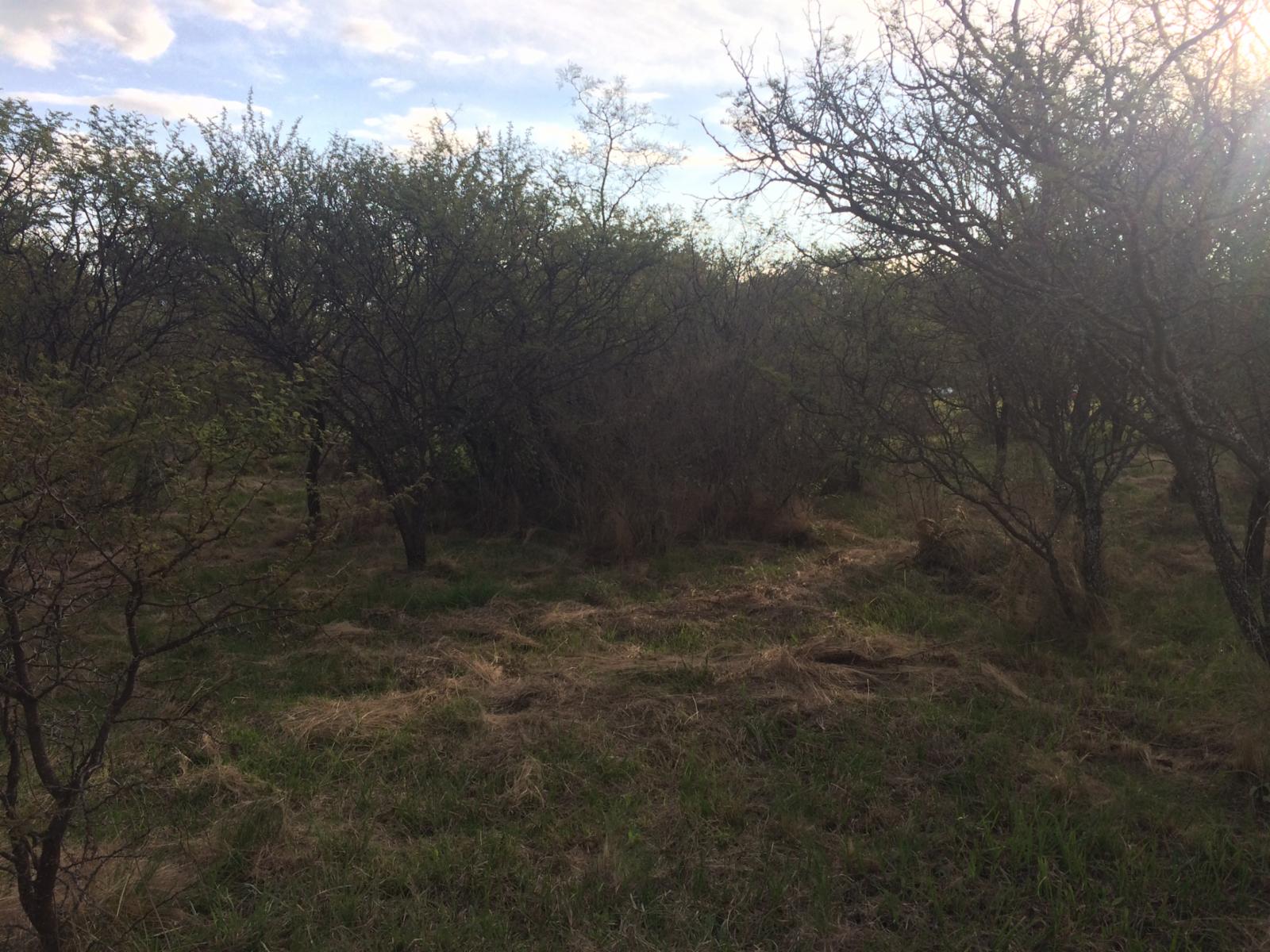 Lote de terreno / villa de las rosas — foto 4